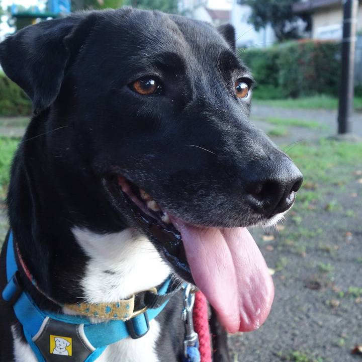 8f8b97e2 9e0c 41d1 adea a7f4f063d73d 1626355359228