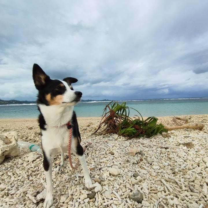 8f8b9d19 6d58 4671 bc67 bca041bb9bc4 1703291962050