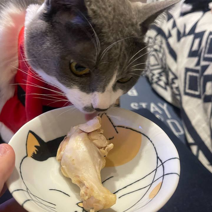 8f8c15f1 ad13 4f95 bfdd 9b55fdda1b0f 1703418258003