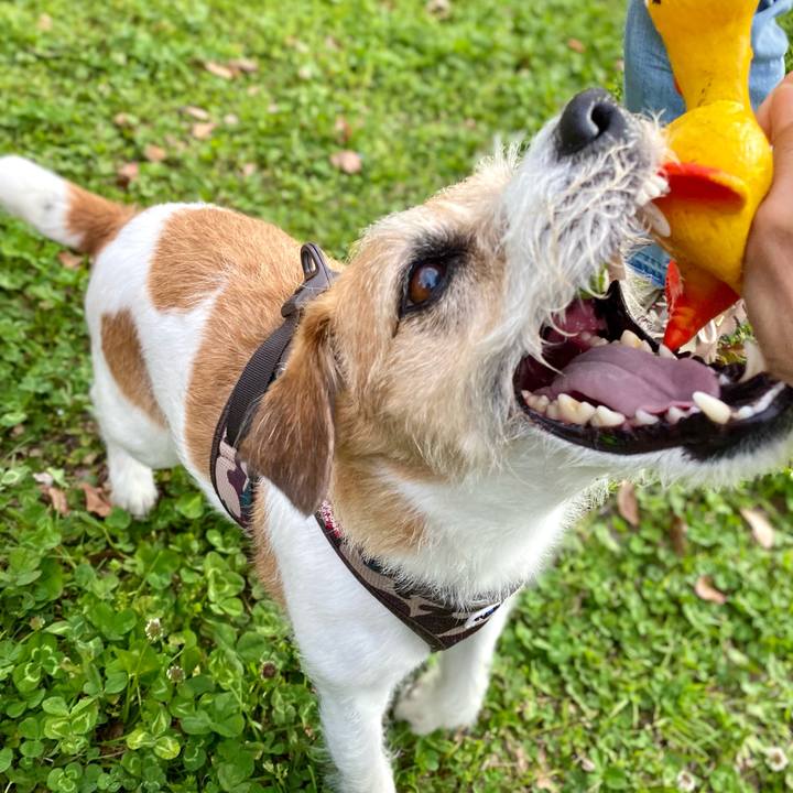 8f8c16f5 3987 40fd ba37 24cfd8ad7d65 1712765446811