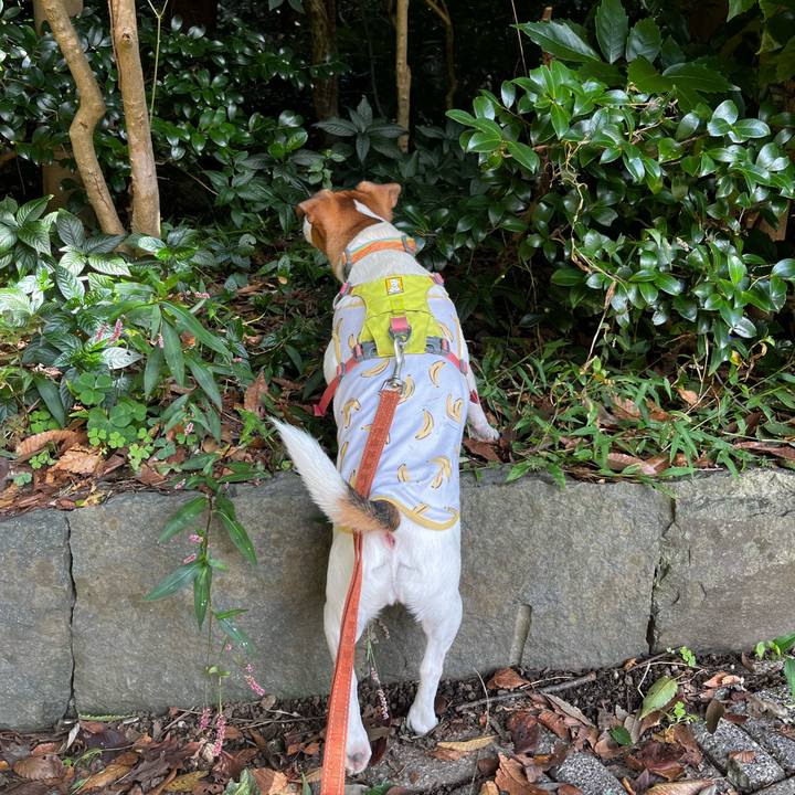 8f8c3ce8 4d7e 47e8 a480 53eff22cdfa0 1729409074377