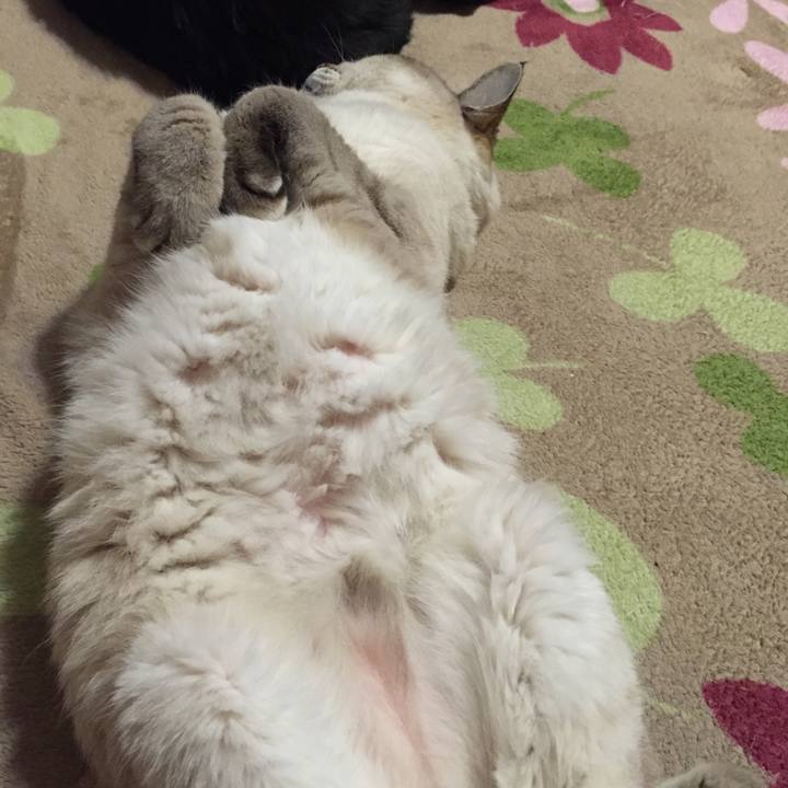 8f8c76e6 734d 4cf8 96fb 345a0e5aacc5 1547327743433