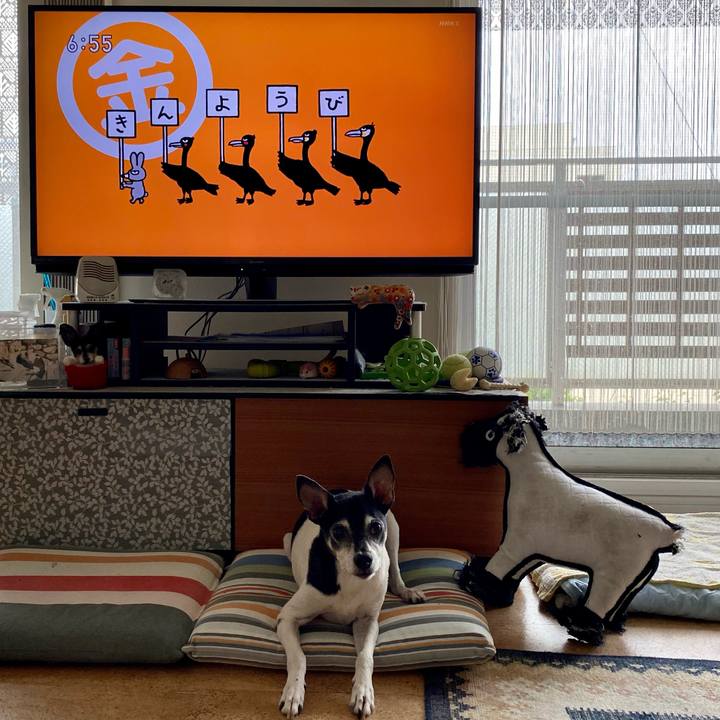 8f8c7fe7 ce4d 4334 ad4e 4d86288df4b3 1625177025820