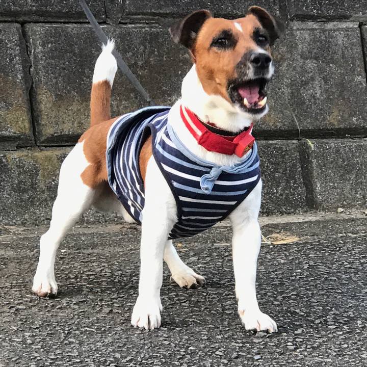 8f8cabe5 4118 4935 823b bd213ff7db14 1510612375305