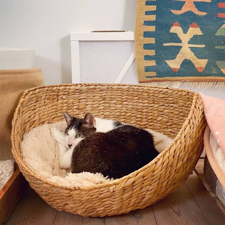 8f8cac48 fea9 4fa1 be54 caf44513abd8 1598483621497