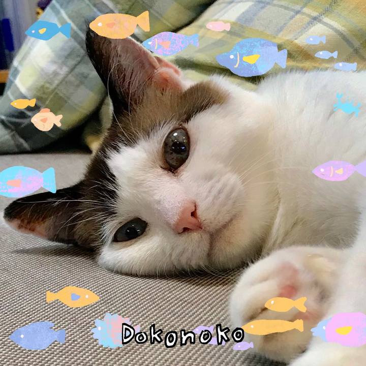 8f8cb133 d215 42f3 9b50 3d52ffcc26a4 1755249696087