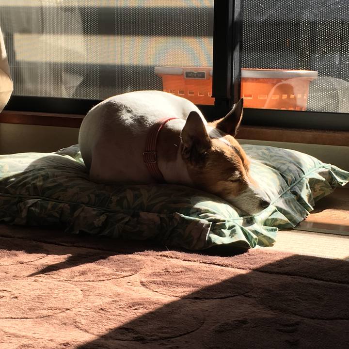 8f8cff77 e12a 49fe 829f e39bfa779ed4 1513047238590