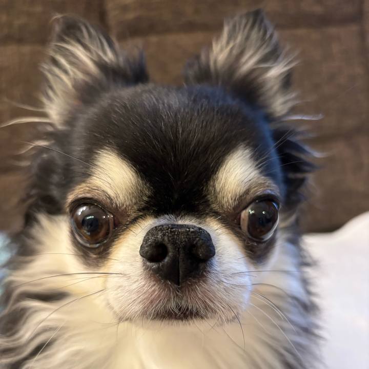 8f8d3ff4 08a5 40d4 aa09 0ae83e092c97 1759624719199