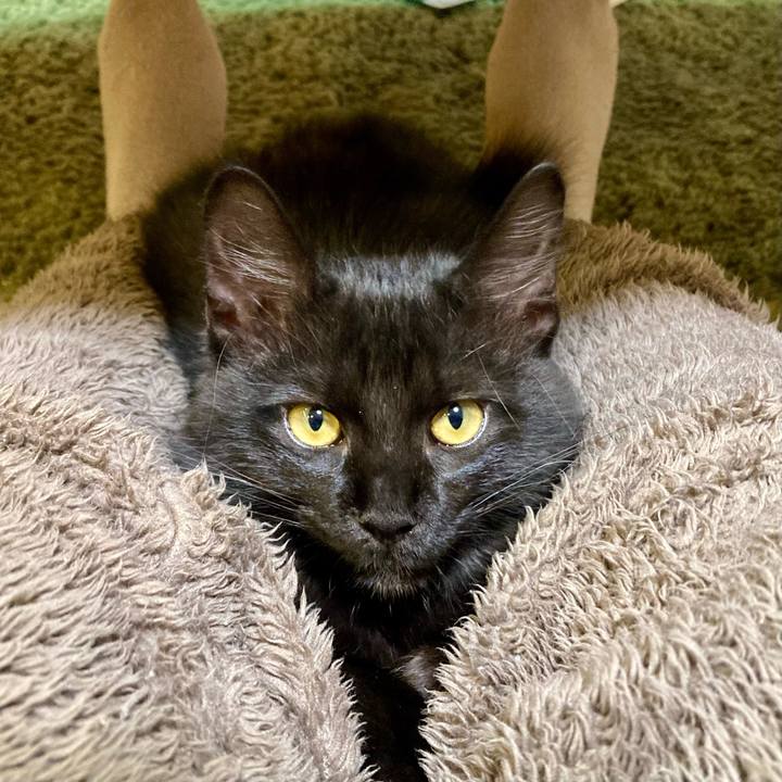 8f8d6061 4274 4f81 926b 70ea525b584c 1705315864708