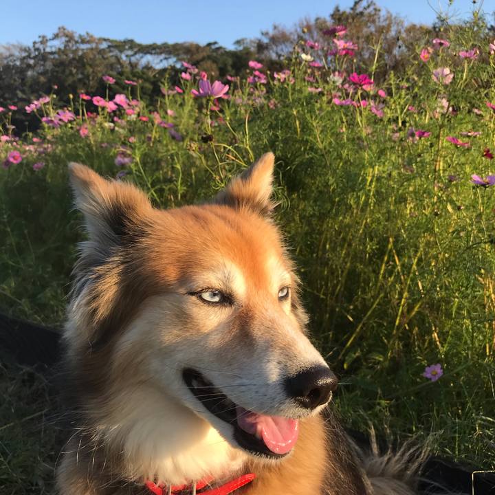 8f8d63aa 1bc9 4ff1 9a6e 33c5b51f0d4c 1572595668208