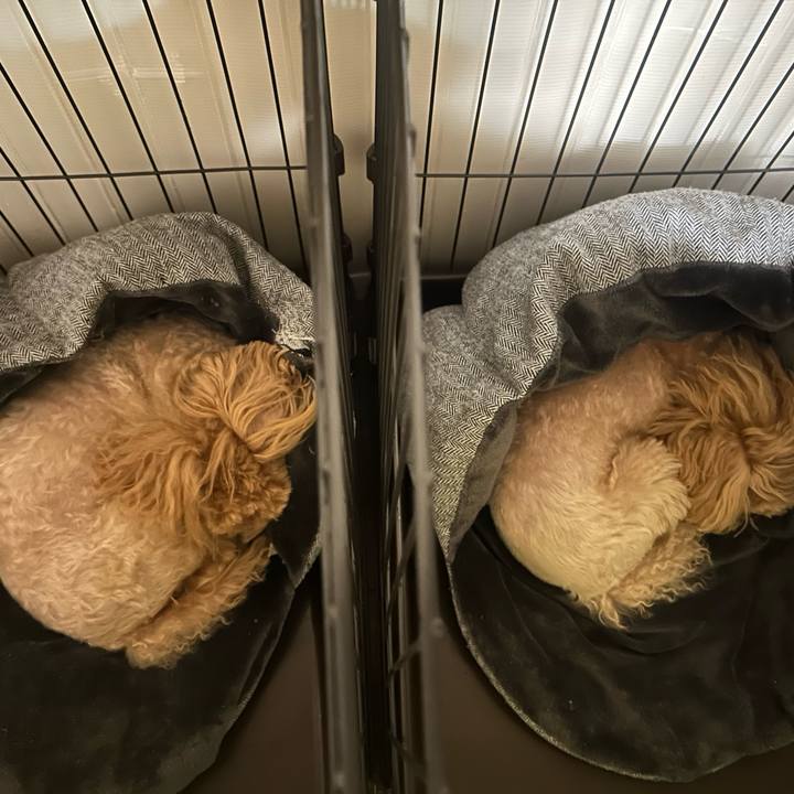 8f8d7606 d1ab 44ce a4ef 3e11da09dd4b 1731960522313