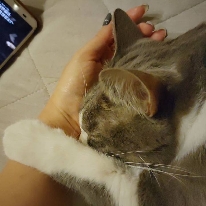 8f8d7a5d 5c5e 497f 93ce 532a4c27f4ed 1696889129510