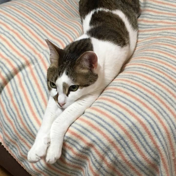 8f8d8be2 13c3 4035 ab14 8dc15e42b576 1509498461477