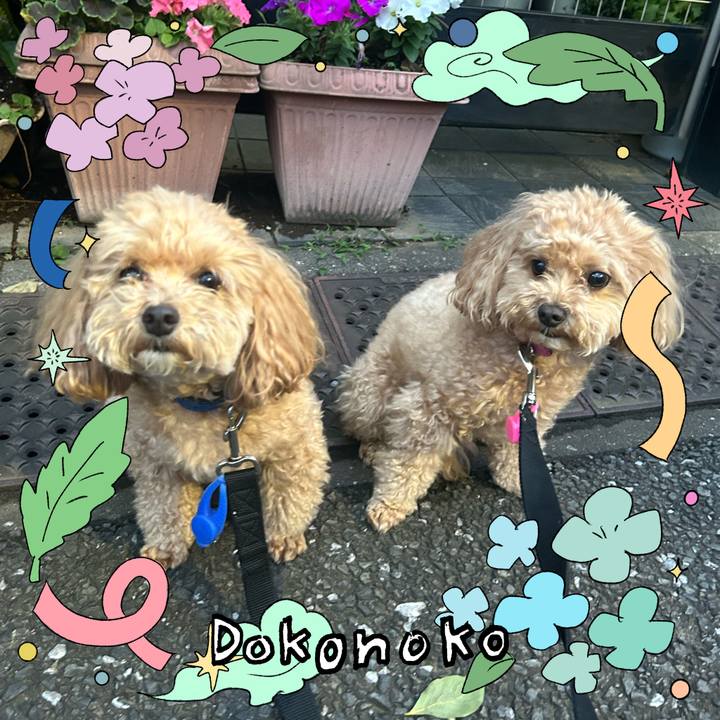 8f8dc5d3 a053 4798 a6d1 c7d96e070e1f 1718018815817