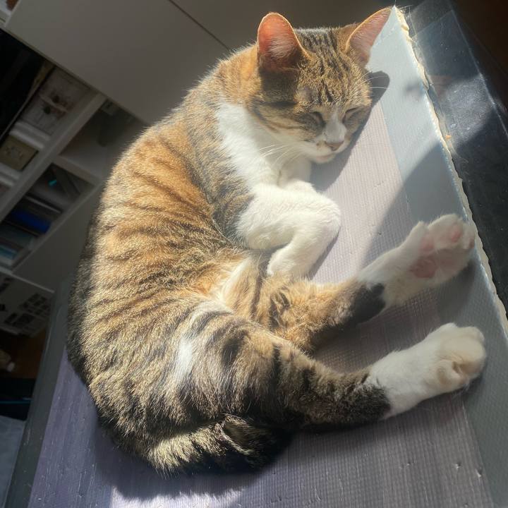 8f8dc624 ab30 43fb 9bcc 36917accc241 1678496219319