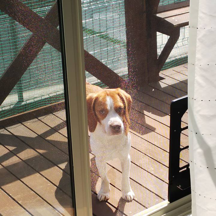 8f8dcbb4 b3ed 498c bb69 3791cd4140c8 1554008645786