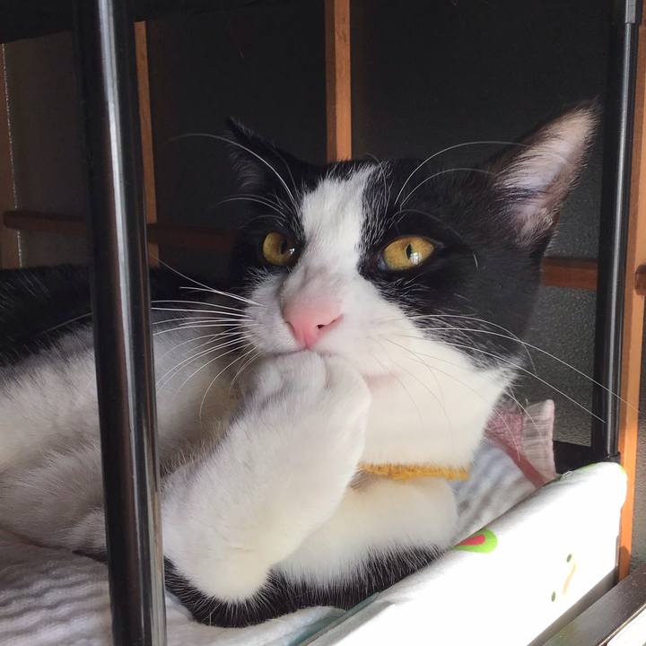 8f8dcfaf 74b8 4187 8acd 89dd3cf8f6a4 1646016566802