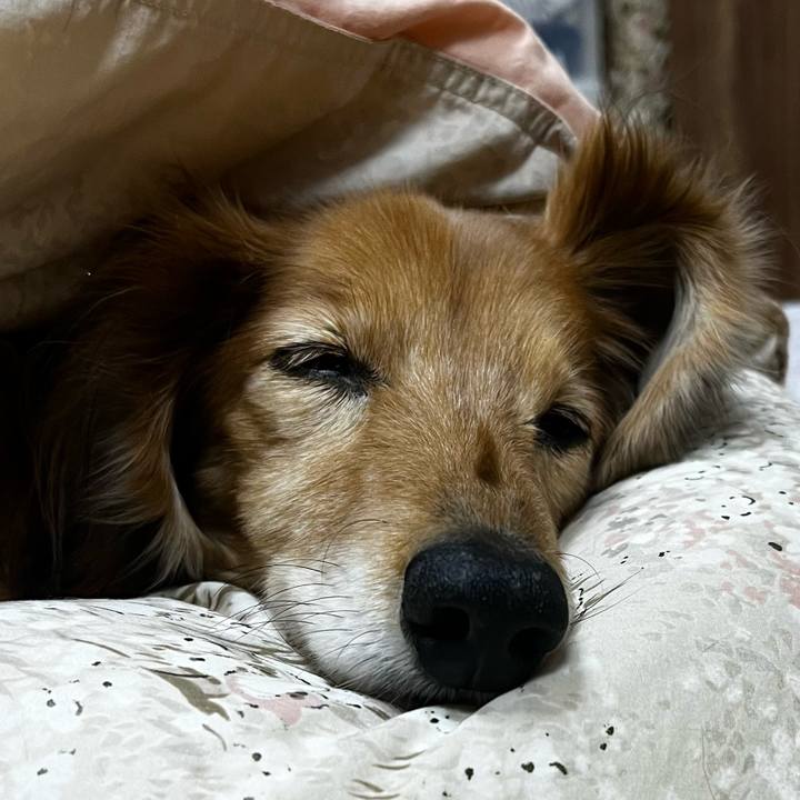 8f8e01cd 8d73 4378 80d6 1d9e2863ce3c 1671271367218