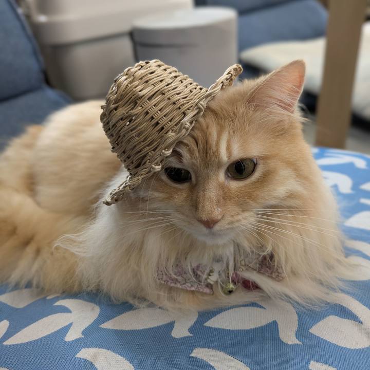 8f8e600d 42fb 4cd8 9f30 6236cc5f2baf 1752633544715