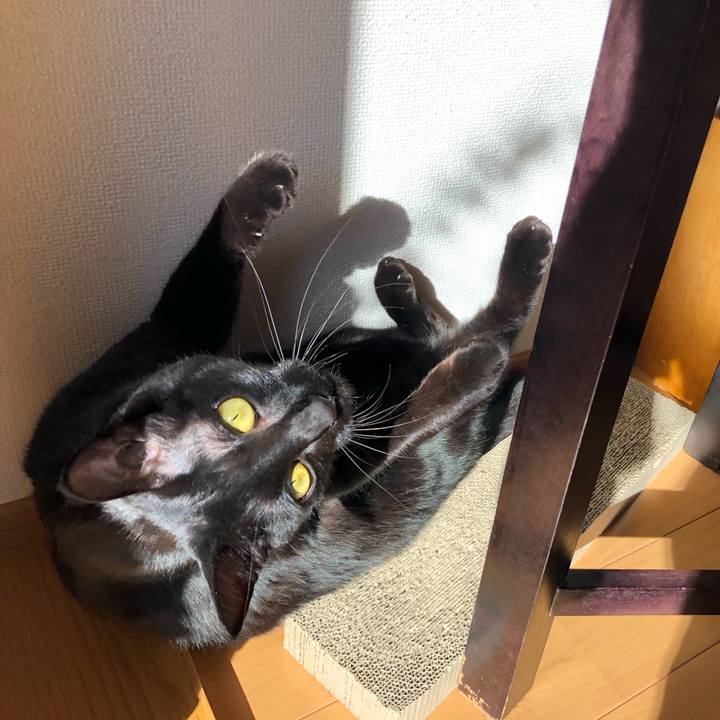 8f8e835b c7a7 4e5b b0bb 684ef5fd9cb3 1545631022380