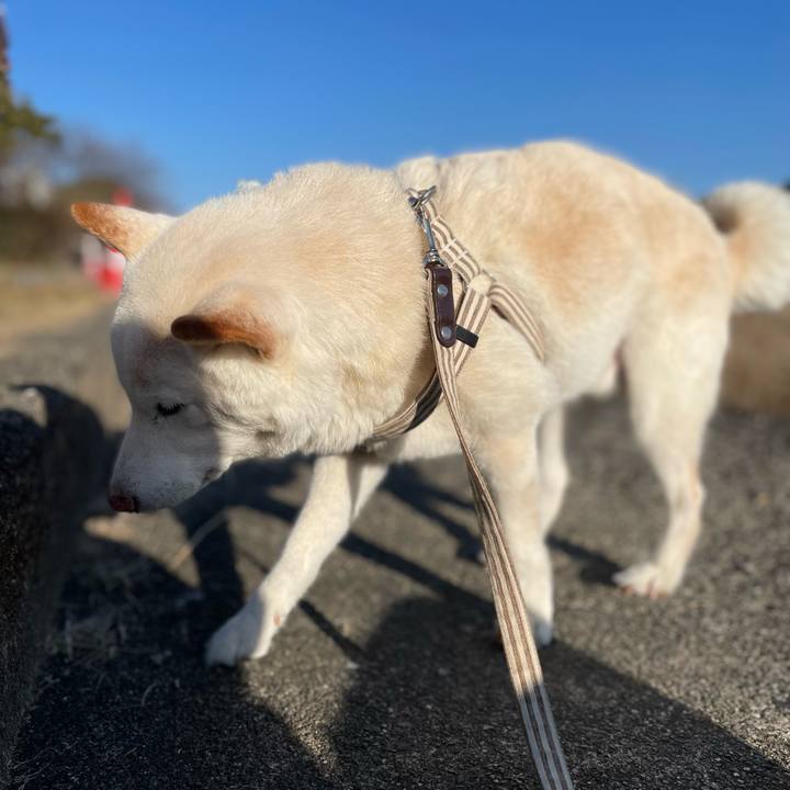 8f8f1291 fd83 42d1 b659 da84ea414b1c 1645191269346