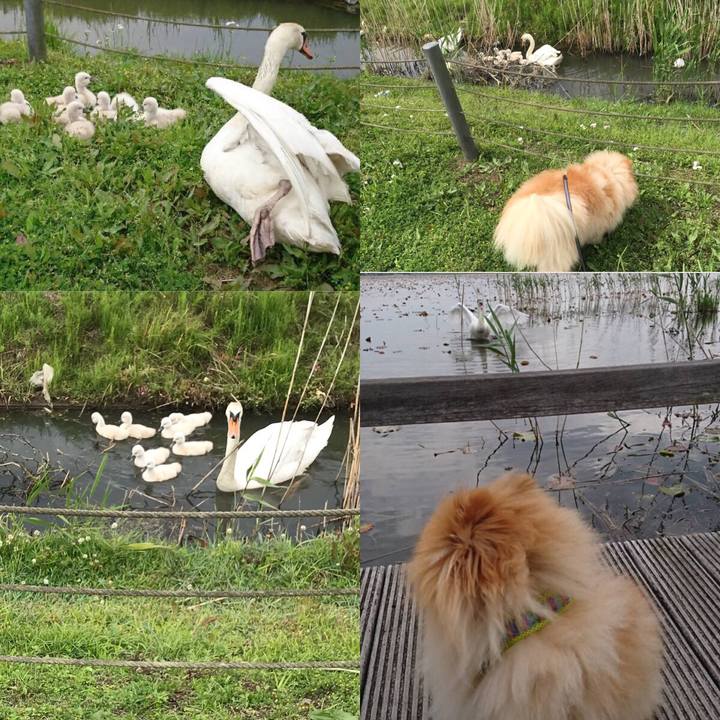 8f8f200f baca 4cc8 ba2b b60e070c5c2a 1526176769535