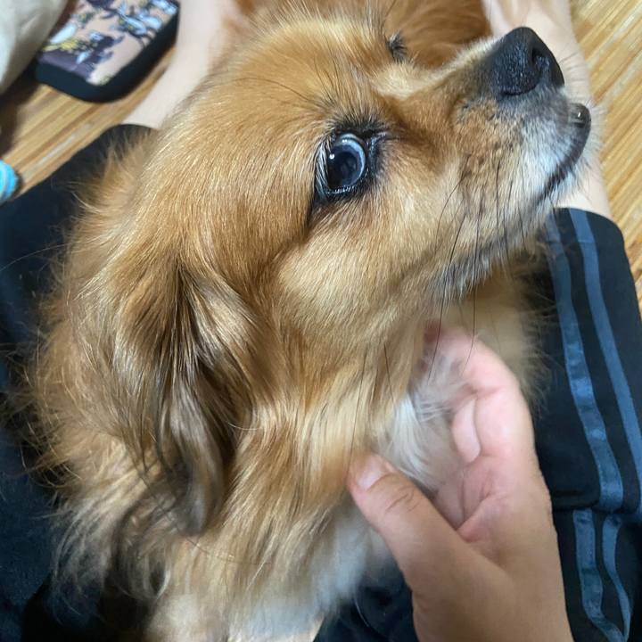 8f8f38d9 3904 44b5 88b5 d1b9940f2989 1663539852242