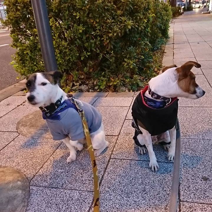 8f8f3f27 ff9f 4809 83ff 716ae28810a8 1546983810053