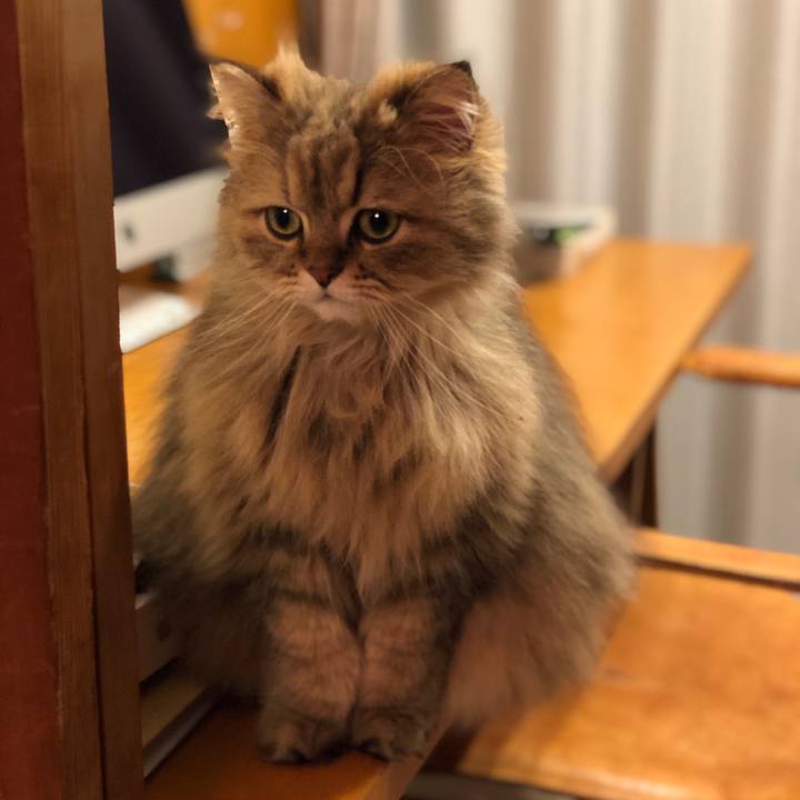 8f8f6317 6d99 4f30 8ba7 99165ecd4c45 1555590549200