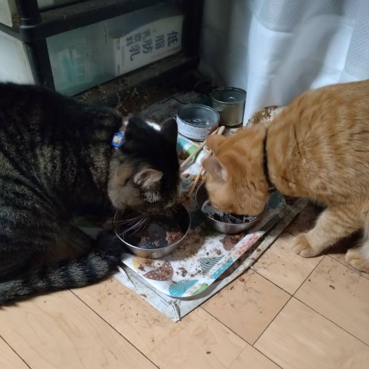 8f8f770e 2679 42f0 9d02 fe72cc427ec8 1698139680541