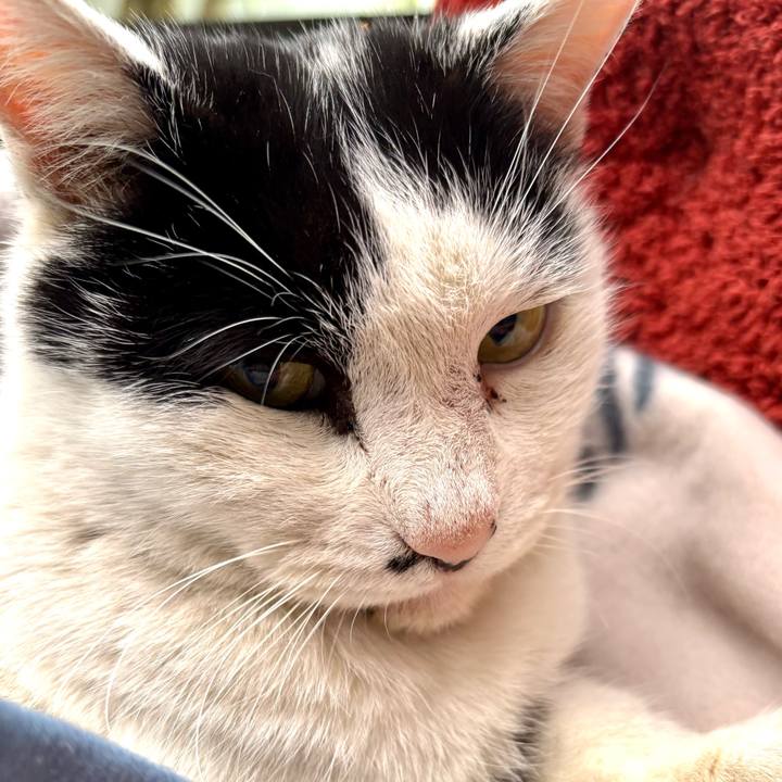 8f8fa04b ba76 4096 8ecf 88bf6f96eab0 1769742860473