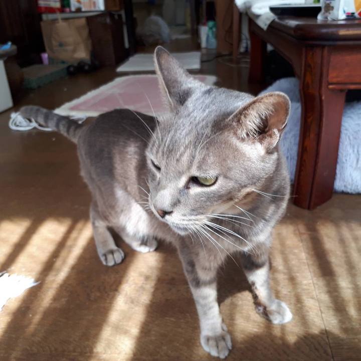 8f8fbcfe db4f 4d7a 992d d96d87745148 1632307264209