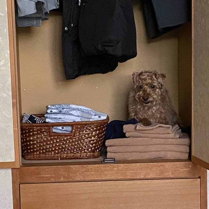 8f8ff8c3 e112 4465 952b 3e5f8f237892 1679127028802