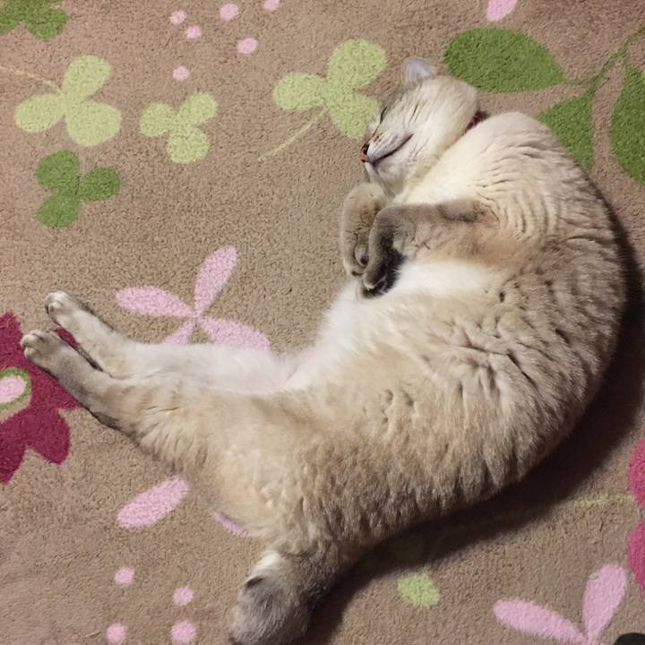 8f8ffa05 36a3 4693 8b29 656b196a9773 1527597624315