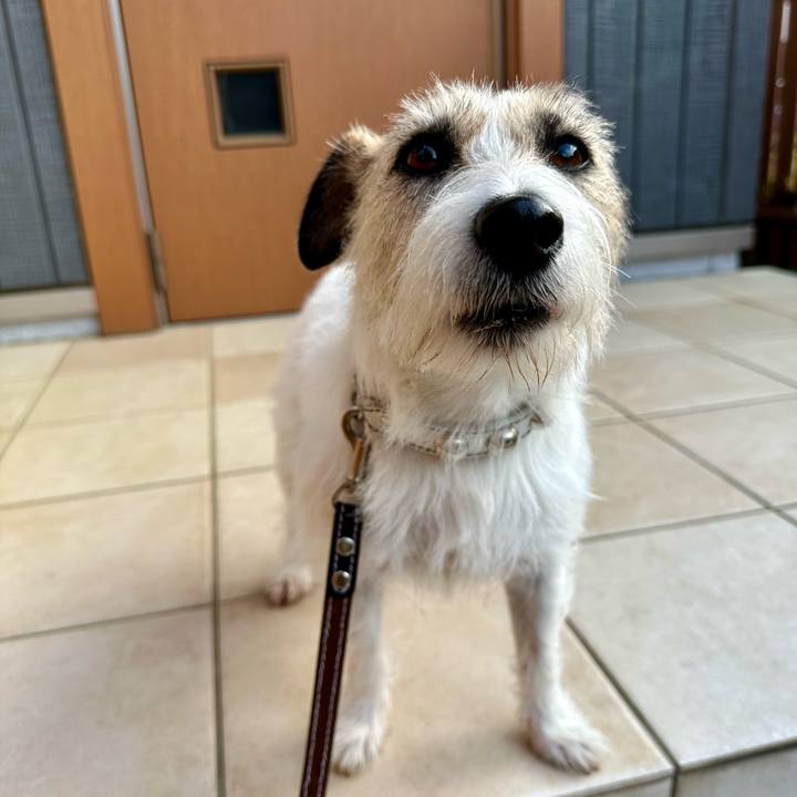 8f900bcb 5178 46a1 a70f 8b00df196bc5 1745322000935