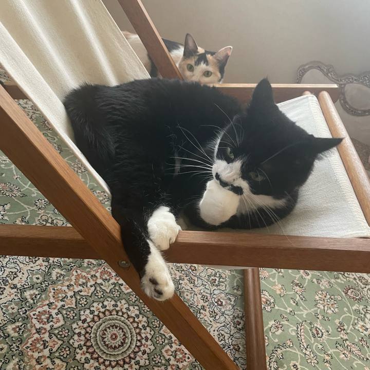 8f902191 741d 4889 901c 2ece74def5b2 1691028973788