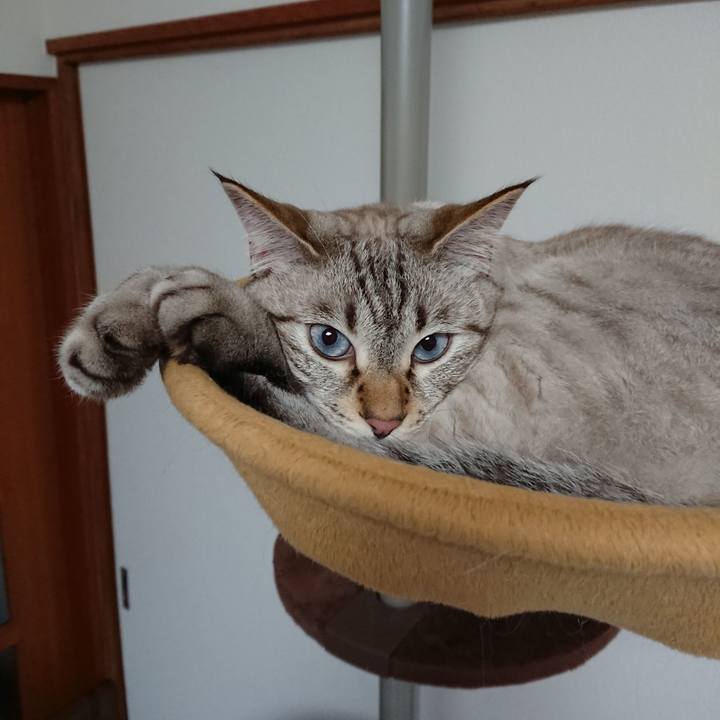 8f903a1a ebe4 4888 bfc1 370023c02788 1569766348805