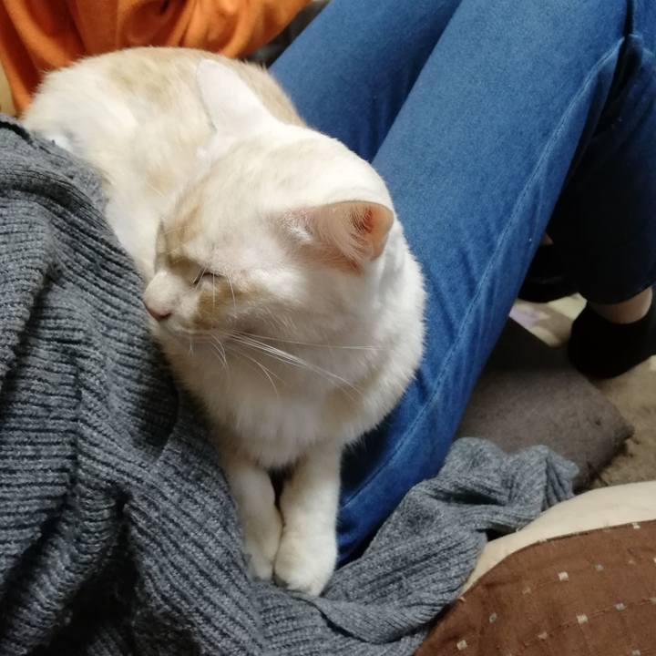 8f9048c1 7a65 4406 892f 63d842f70f13 1603492490225