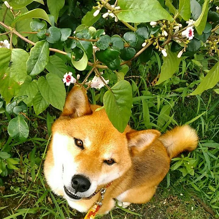 8f9070ee 892c 410e a6c5 49263608cb2a 1563580491261