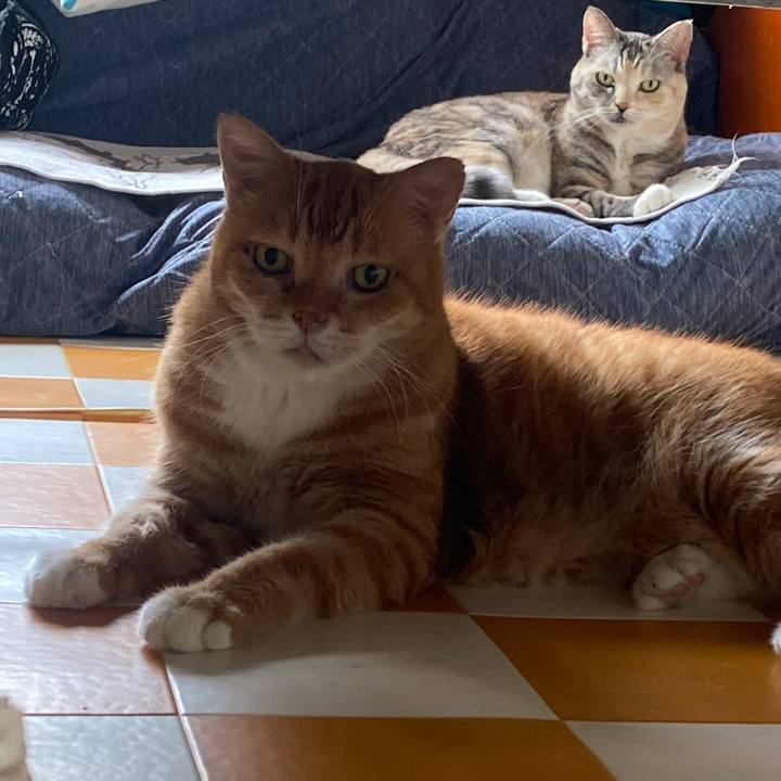 8f913008 d166 4293 a85a e0794c1c2513 1696028749135