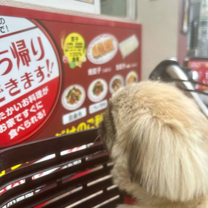 8f914743 d9d0 4b7e 81e0 c662d396294c 1725421744504