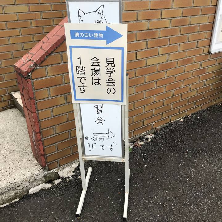 8f914c96 a57e 4350 9c73 ececedf9e578 1566447922316