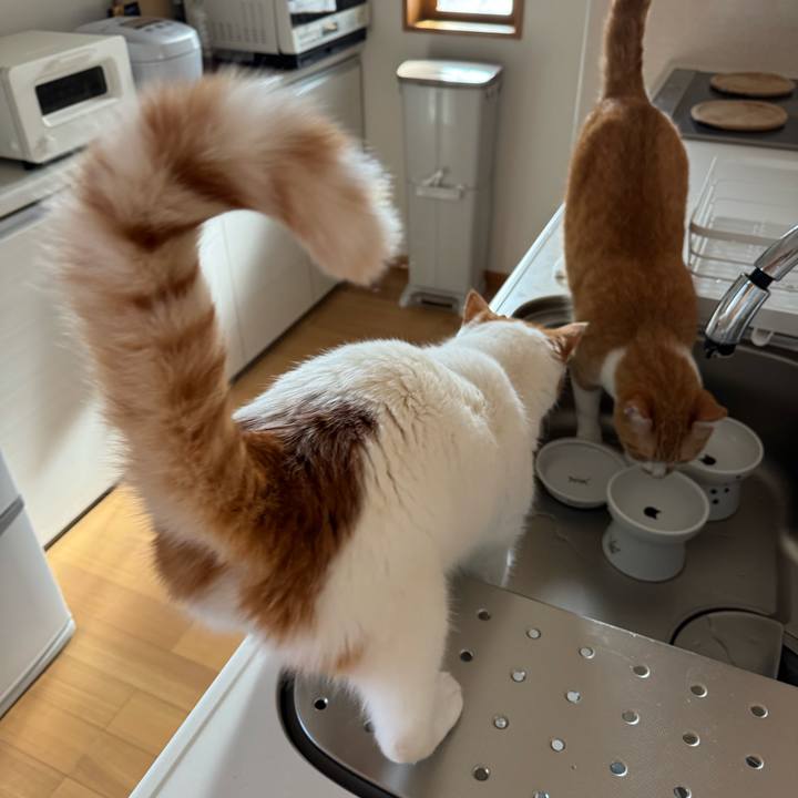 8f914d2b 73e0 4b38 b00f be788fd73112 1774580397395