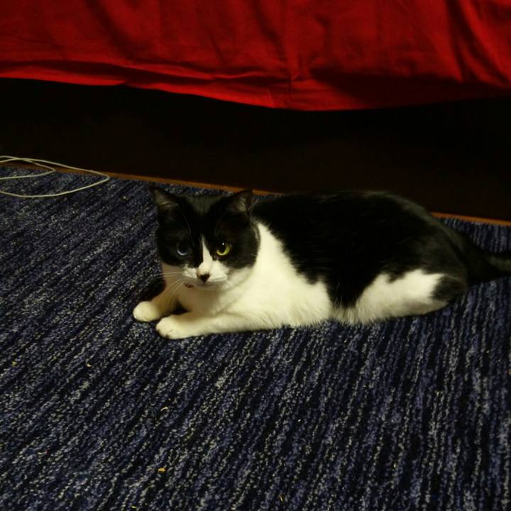 8f916de4 1726 4908 abb1 58188673ec1e 1524317012363