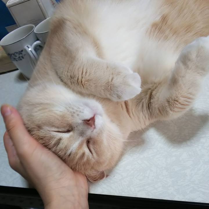 8f917e1e 5b4c 4120 acbd 85678b2755a4 1553406603309