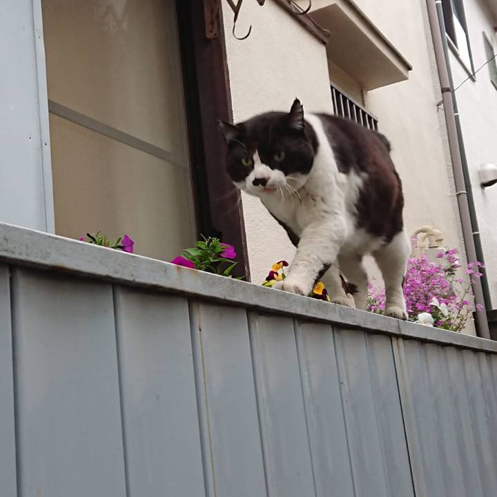 8f919259 d1ca 439c aefc 9c90adb91b2e 1650529951020