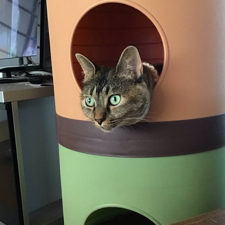 8f91aa7a 8035 4345 af67 d91b81726835 1693284551973