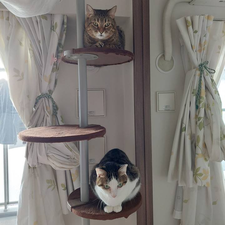 8f91ec04 11c2 4155 b007 8907fa6454c2 1674088410374