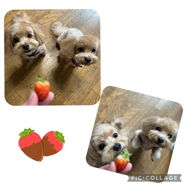 8f91ef96 09b4 45d8 9006 8db305cb0710 1696736920435