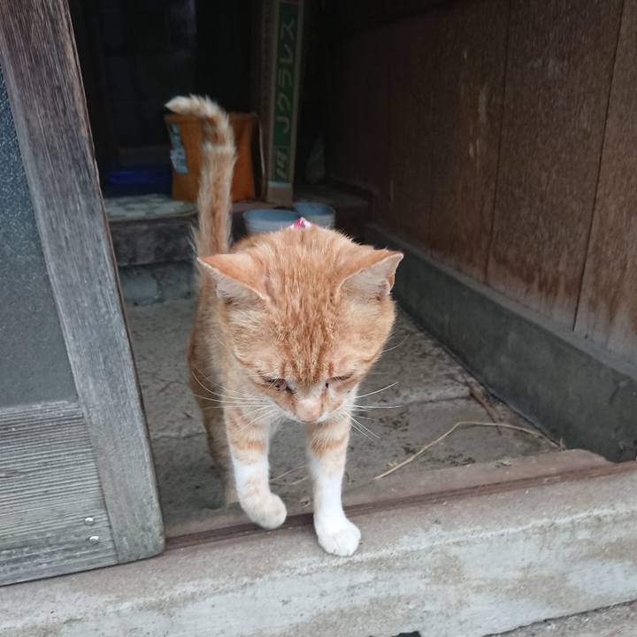 8f91f53a 621c 4834 9078 598e8da46fd4 1559294835331